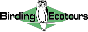 Birding Tours by Birding Ecotours Logo